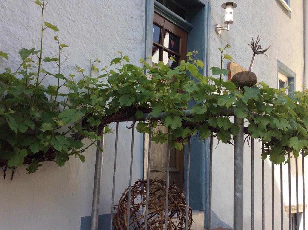 Winzerhaeuschen, Weingut Th. Mueller Lägenhet Reil Exteriör bild